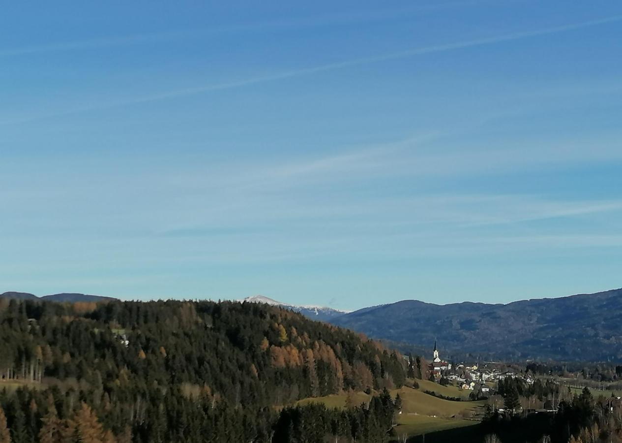 Appartement Fanningerwirt Holzer à Mariapfarr Extérieur photo